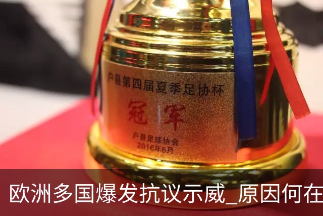 欧洲多国爆发抗议示威 原因何在？影响几何？