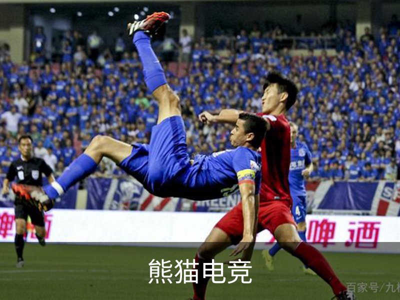 企业介绍